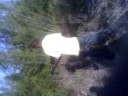 At the range in the bahamas