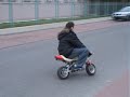 Pocket Bike TGK i Laczek Piteross\
