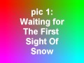 Realistic breyer pictures, for contest!