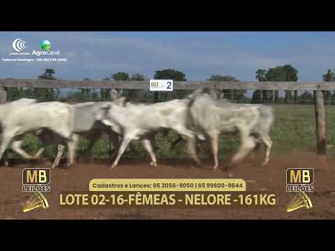 555� LEIL�O VIRTUAL MB LEIL�ES
