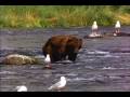 videos de Getting started with Movie Maker.. SUPER SAIYAN BEAR BLARG!