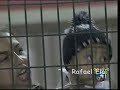 corinthians   sem ar   eu nunca vou te abandonar