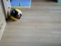 videos de Piskotkovi fotbalové hrátky