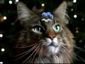 Hula Cats Christmas