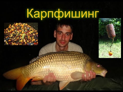 карп белый амур ловля видео карп белый амур ловля видео