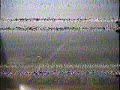 FPV Flight Over Willow International College