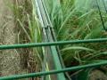 Cab view-John Deere 3510 sugar cane harvester Cab view-John Deere 3510 sugar cane harvester