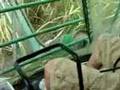 Cab view-John Deere 3510 sugar cane harvester