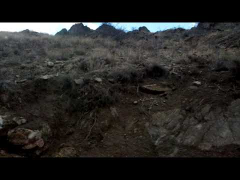 Erzincan/Cayirli..Keklik avi...mp4