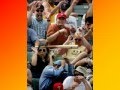 Sin Comentarios - Humor, Chicas y fotos Curiosas