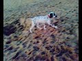tarah playa2.mp4
