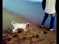 tarah-playa2-mp4
