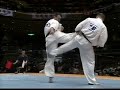 Kyokushin -  Feitoza vs Petas