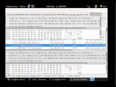 how to wireshark linux