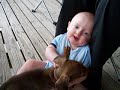 Aiden K. attacked by the neighbor's  dachshund