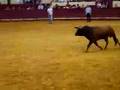 Capeia Arraiana Campo Pequeno