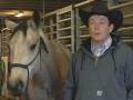 videos de LCCC Spotlight - Equine Program