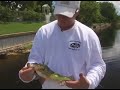 Bass Master Guide Service Promo
