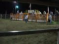 Pazik Rides A Bull Pazik Rides A Bull