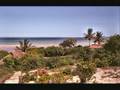 Dana Winner - Afrika