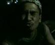 Belida - Ujang