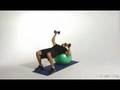 Stability Ball Alternating Chess Press