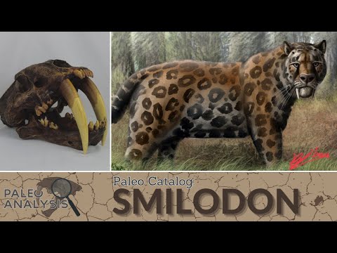 Paleo Catalog: Smilodon