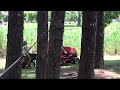 Tractor ride - Beck and Margo - Pt. 3.mts