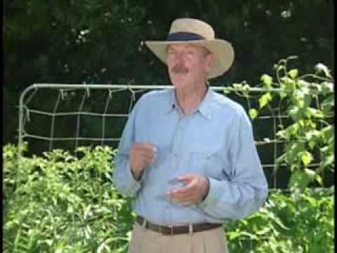how to turn square feet into square inches
