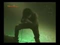 Gauze - 20th anniversary