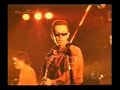 Gauze - 20th anniversary