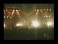 Gauze - 20th anniversary