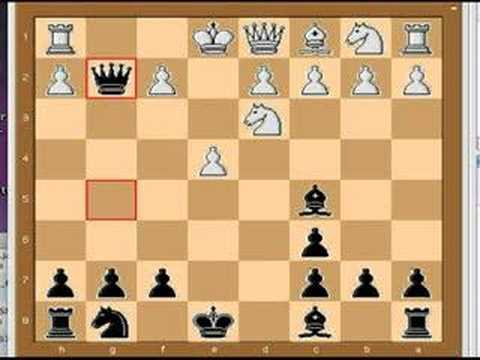 chess knight