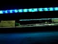 Optix Under boudy Spyder gt Street Glow