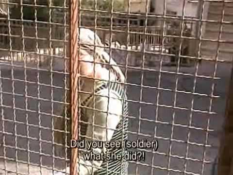 Visuals: Harassment by Hebron Settlers