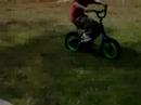 musthang vs bike