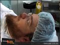Sully Gets a Vsectomy