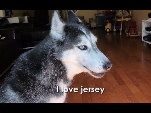 Jersey Girl