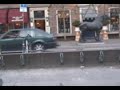 Fiets Dief / Bicycle Stealing