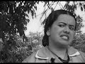 Curta-metragem Metalingüístico de Baixo Orçamento - ou...