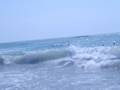 videos de Jeunes Surfeurs à Royan