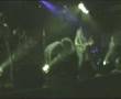 Influenza Harlekin - Ohne Dich (live)