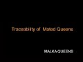 20 - Traceability of Mated Queens