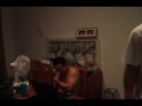 FDB Nightlife Part II