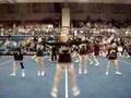 Bellerose Co-ed