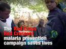 Red Cross Red Crescent malaria prevention campaign