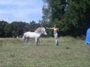 Opale 30 Juin