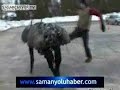 new us army robot