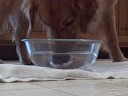 Addie Blows Bubbles