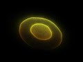 Trapcode Form - Audio React